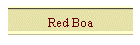 Red Boa